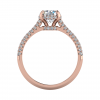 somerset rose-top_view