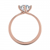 rialto rose-top_view