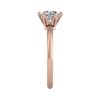 knifedge rose-side_view