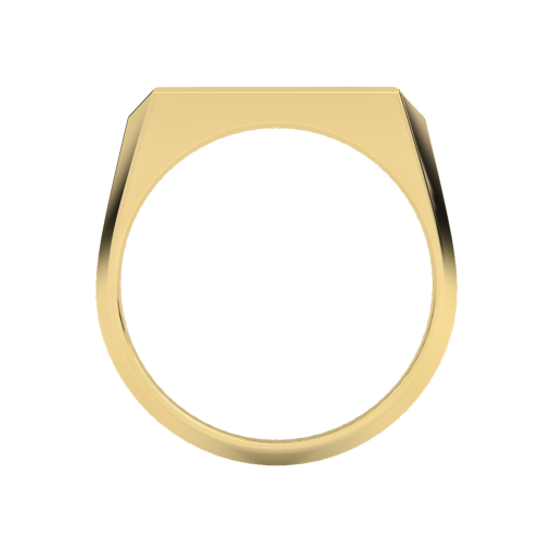 polygon men yellow-top_view